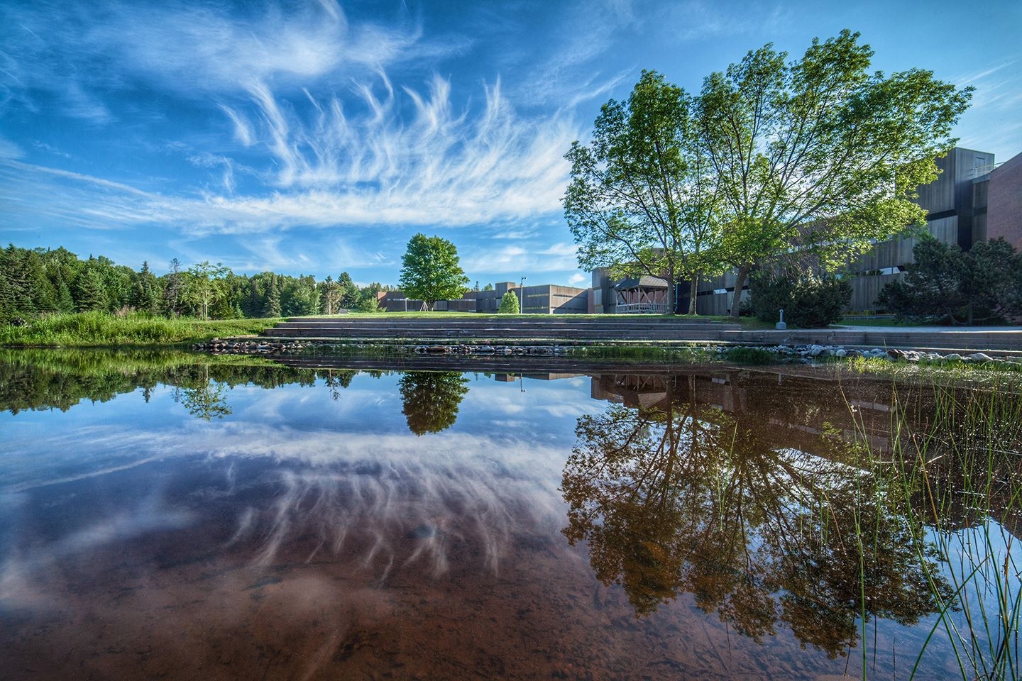 Nipissing University