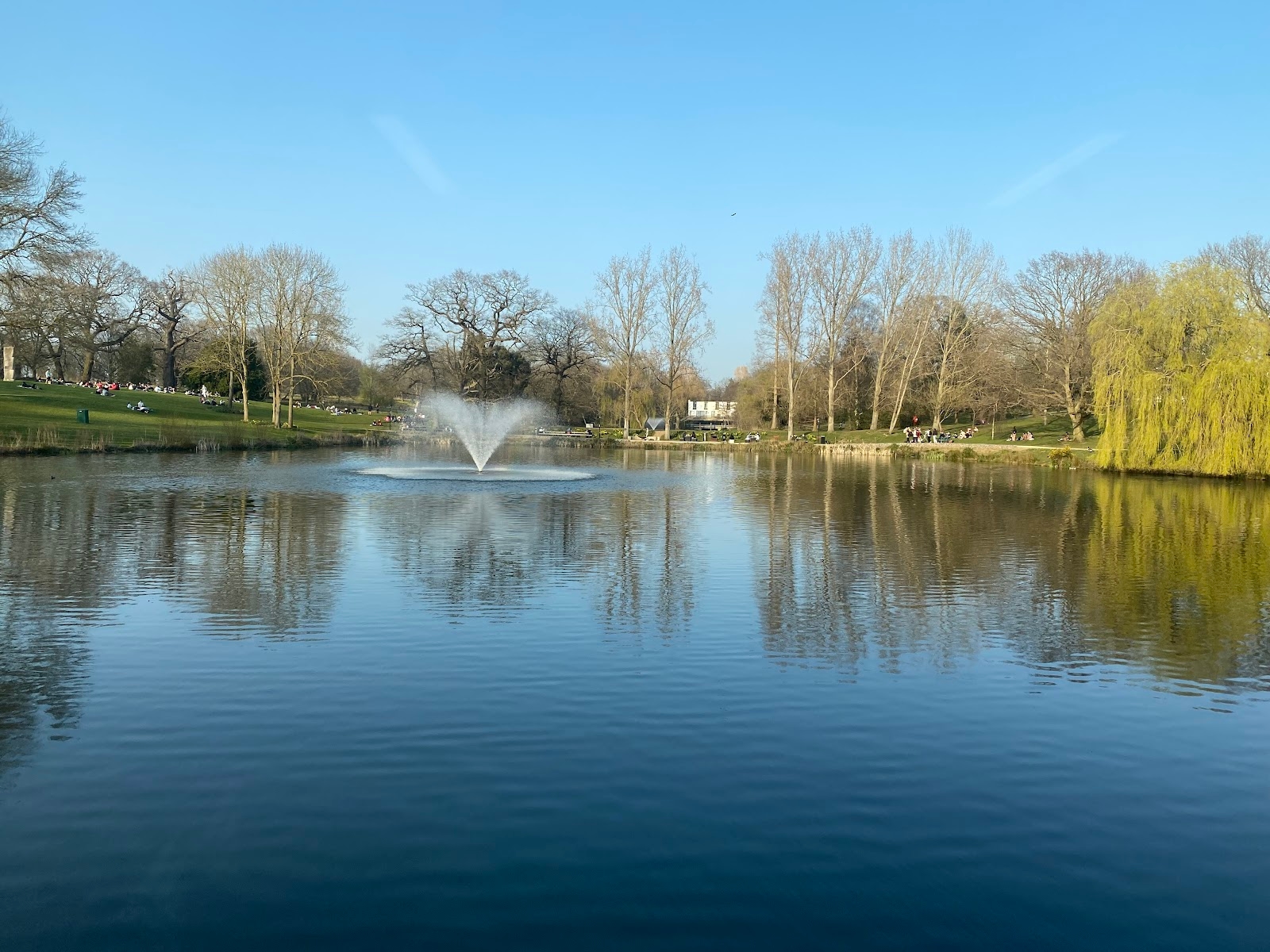 University of Essex Online