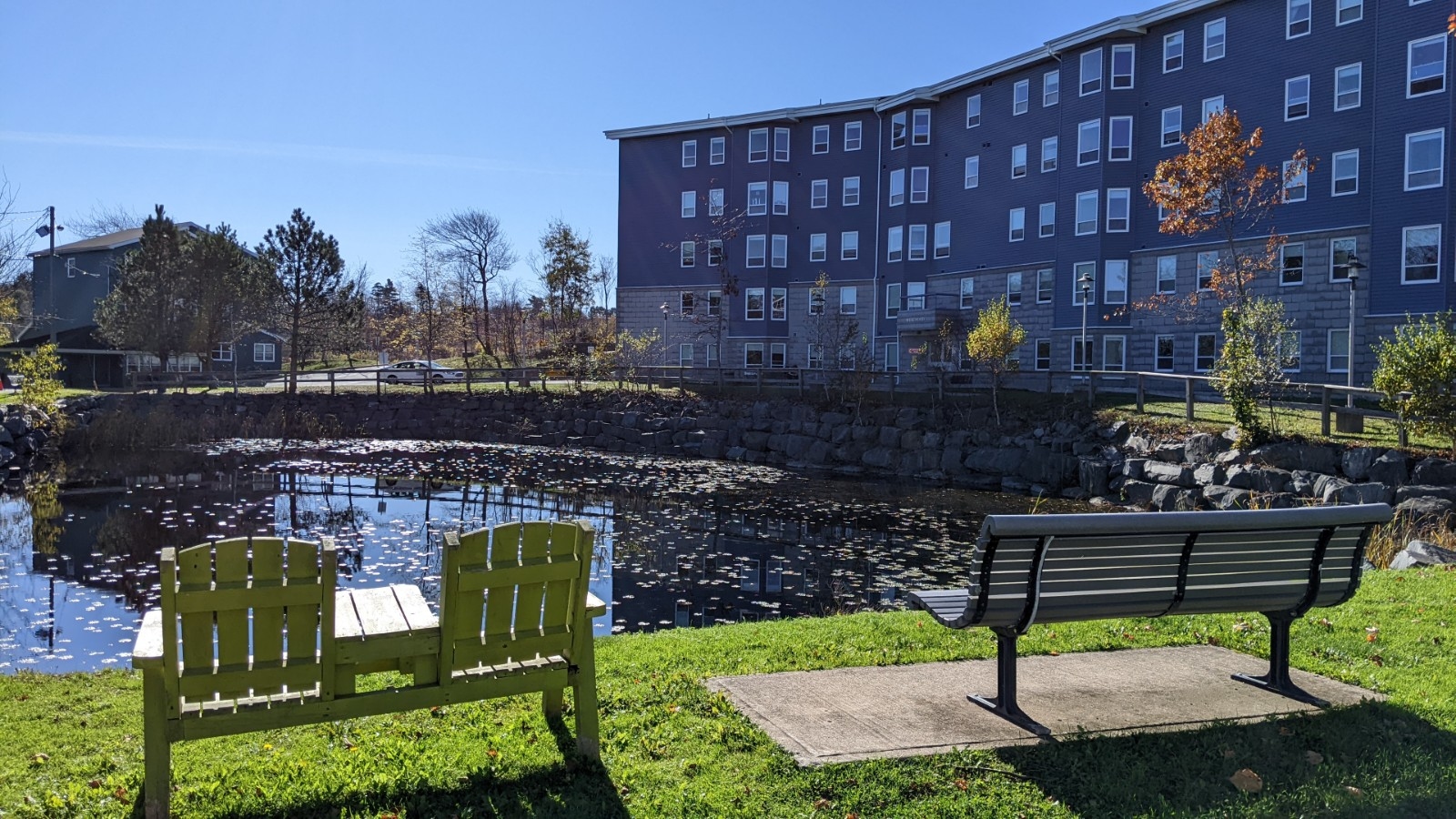 Mount Saint Vincent University