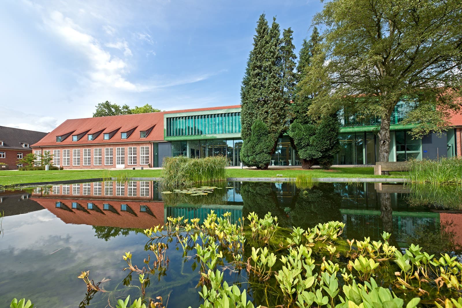 Constructor University