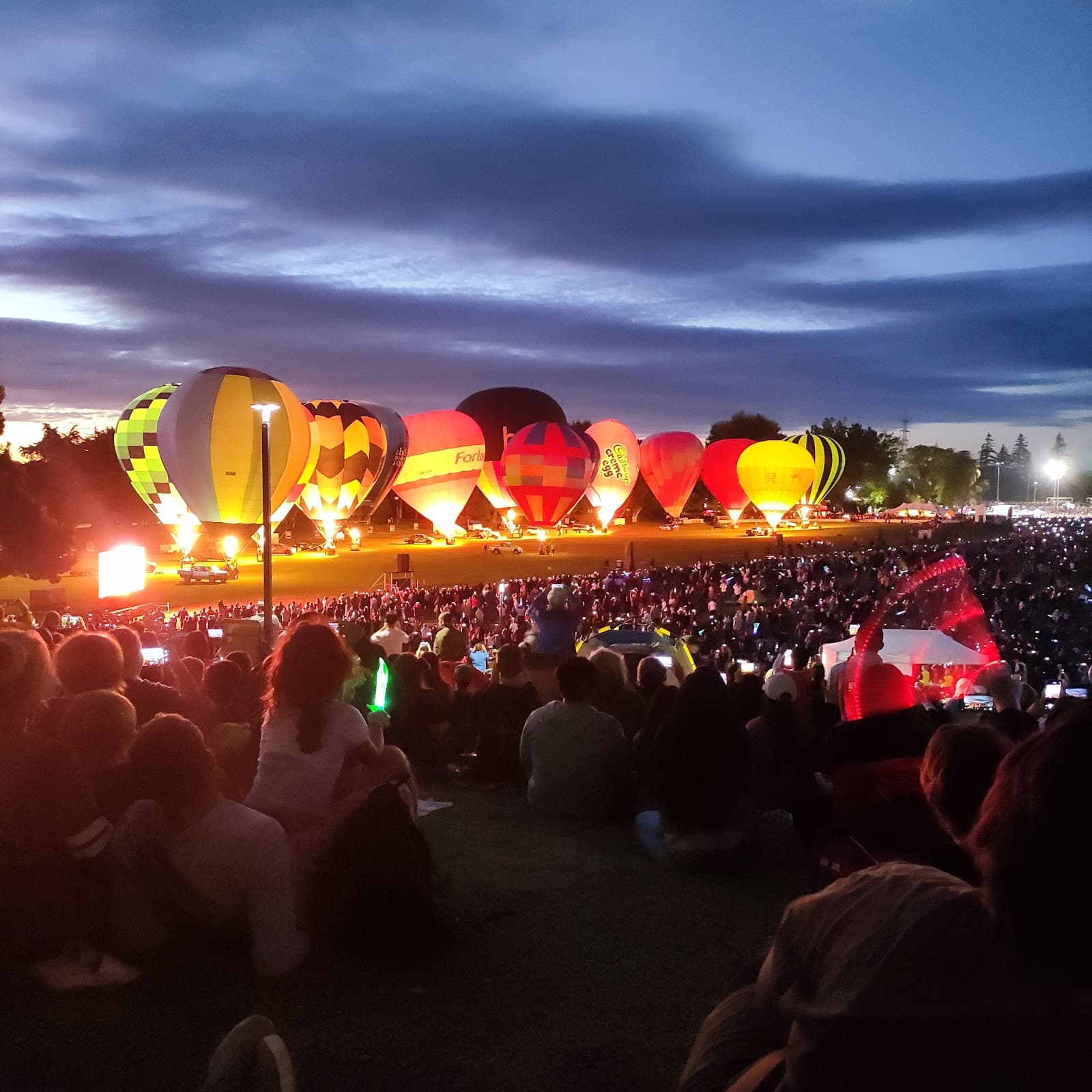 University of Waikato