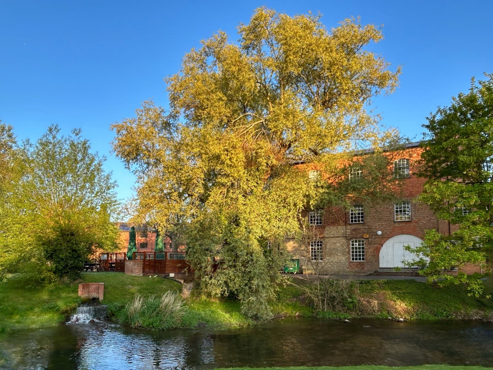 University of Buckingham