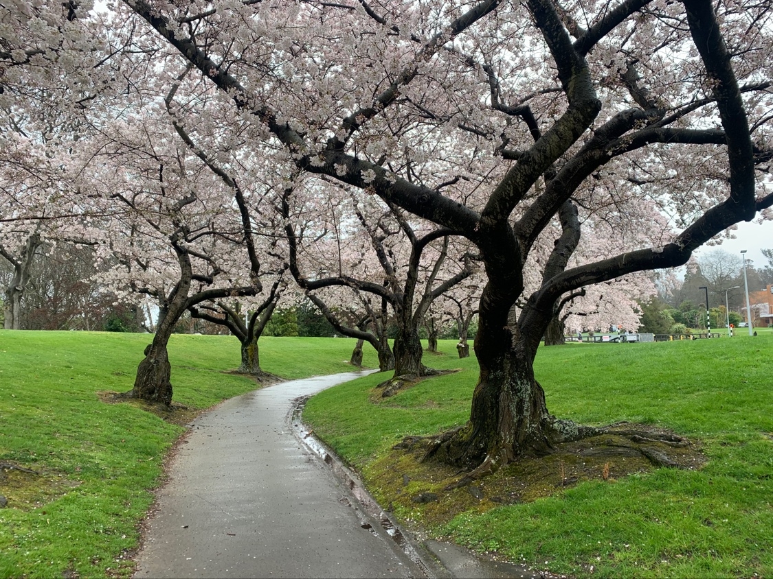University of Canterbury