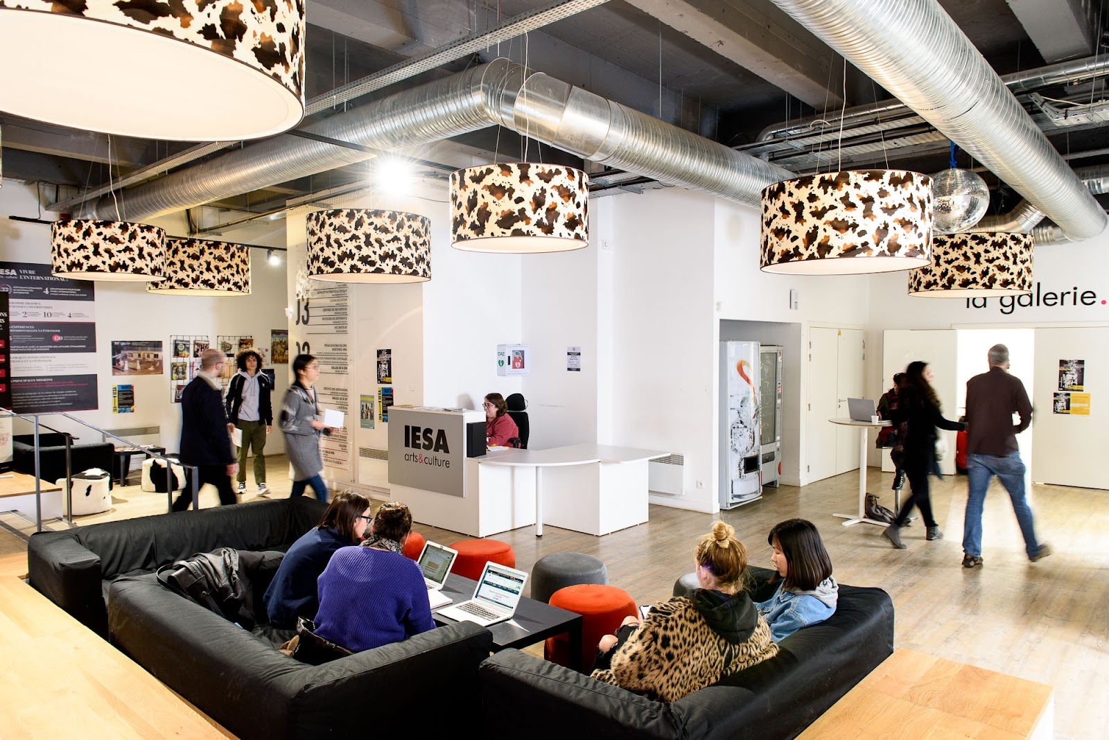 IESA - School of Arts and Culture