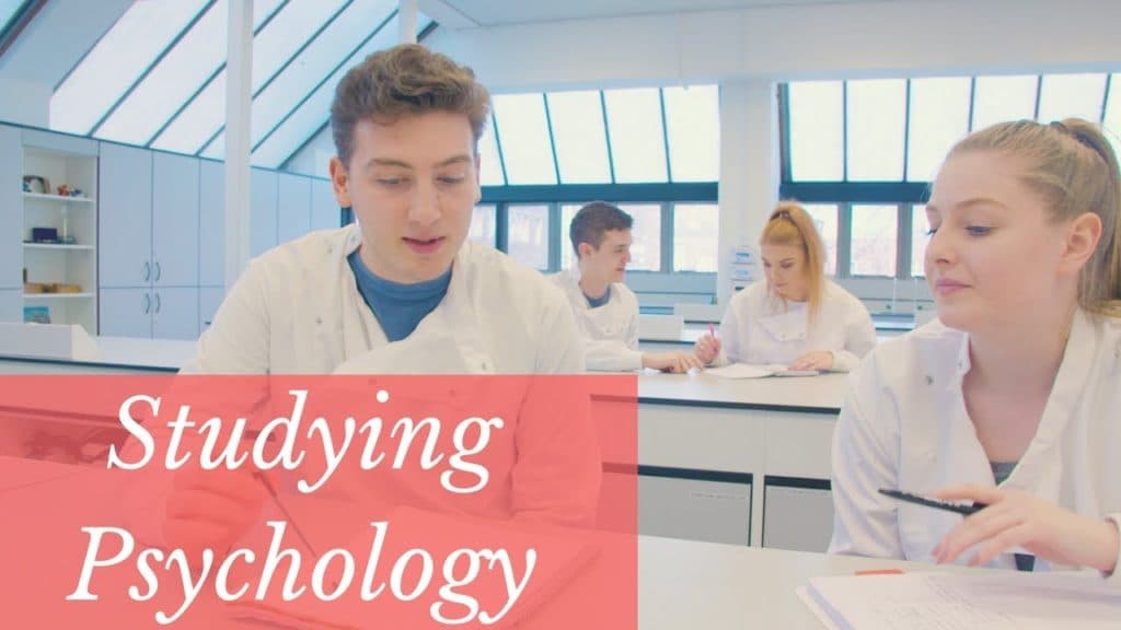 Top 10 Universities to Study Psychology in USA for Indian Students (2026)