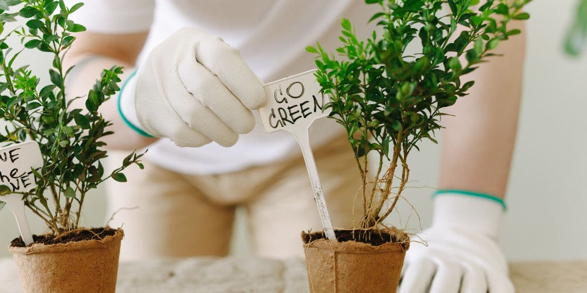 Describe a person who likes to grow plants