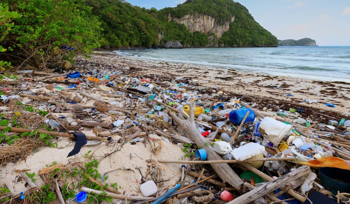 Describe a Time When You Saw a Lot of Plastic Waste: IELTS Cue Card