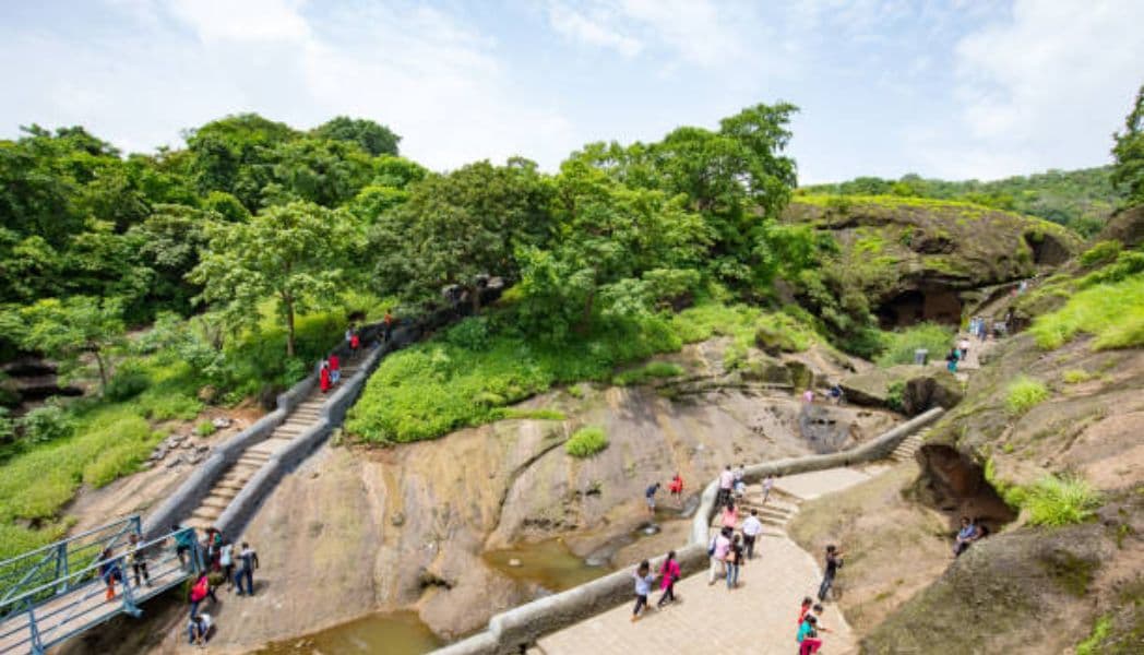 Describe a Place in Your City Where You Can See Wildlife: IELTS Cue Card