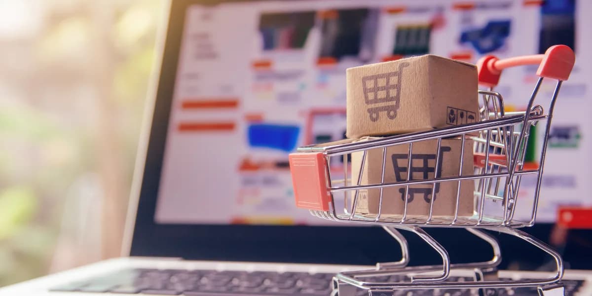 Describe a Problem While Shopping Online