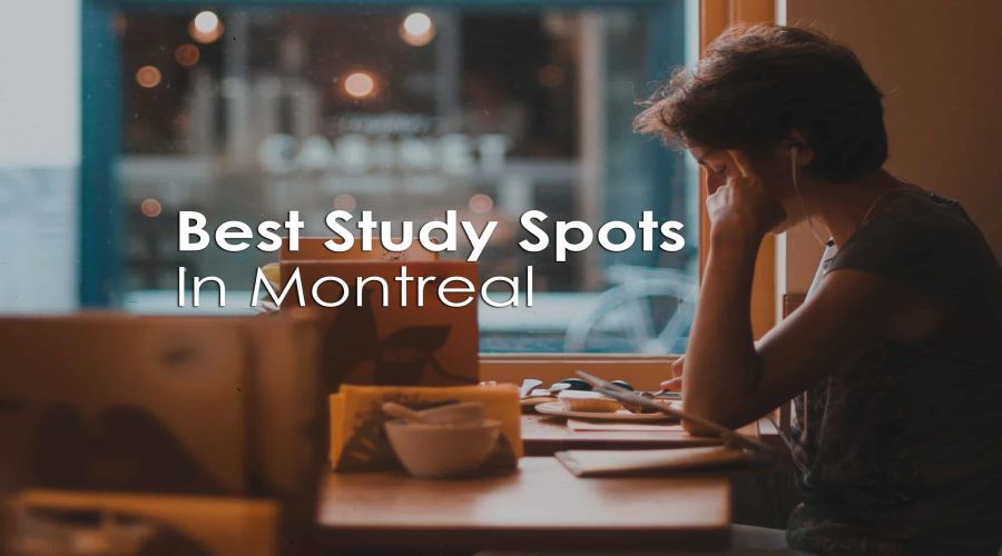 Best Study Spots Montreal – 5 Best Places to Study In Montreal
