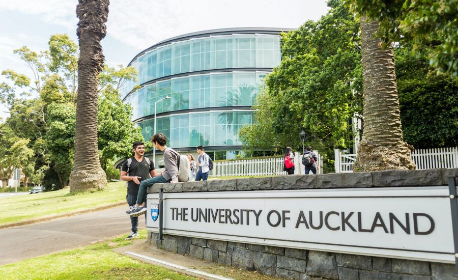 Experience Of Studying In Auckland, New Zealand