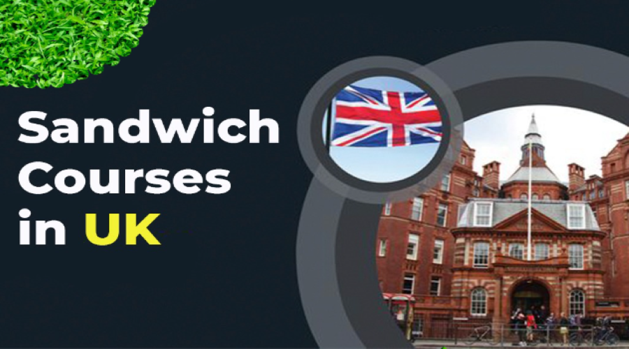 Sandwich Programs In The UK- Everything You Need To Know