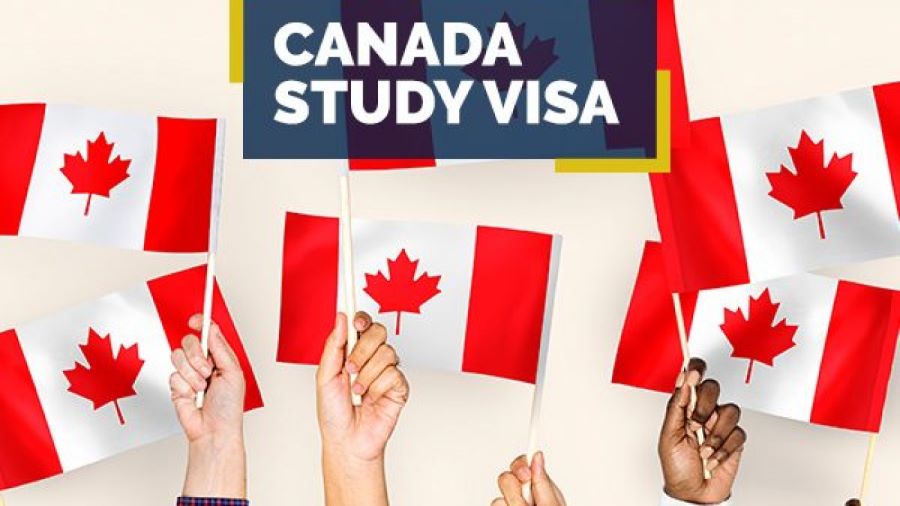 Canada study visa consultant - is it worth it