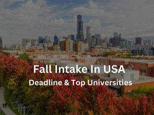 Fall Intake In USA