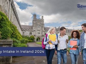 January Intake in Ireland 2024