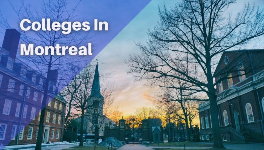 Colleges in Montreal