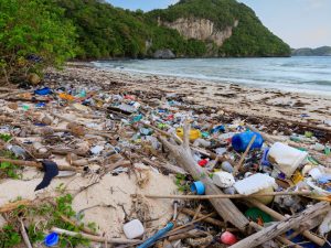 Describe a Time When You Saw a Lot of Plastic Waste