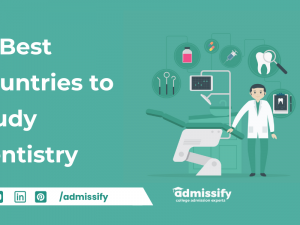 Study Dentistry