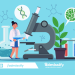 Study Biomedical Engineering