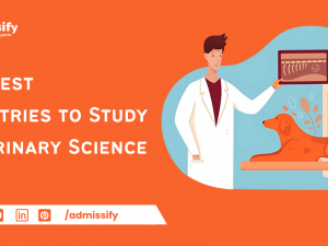 Best Countries to Study Veterinary Science