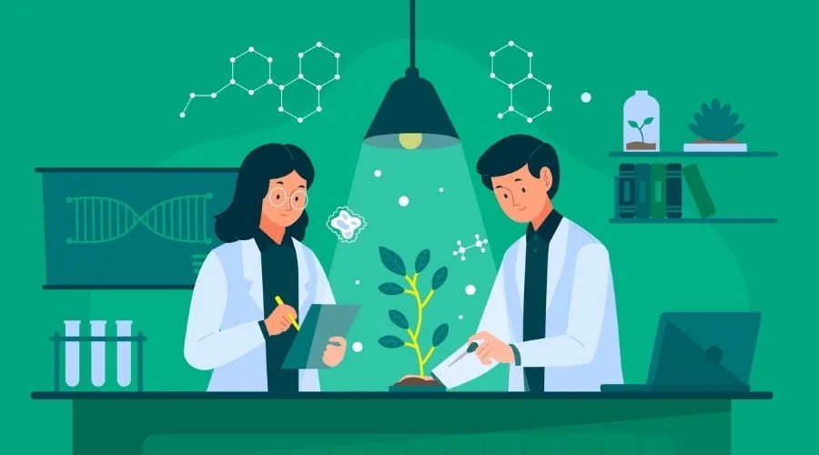 Natural Science Courses In Germany