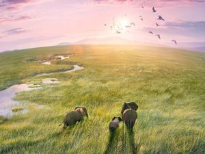 Talk about a TV show you like to watch